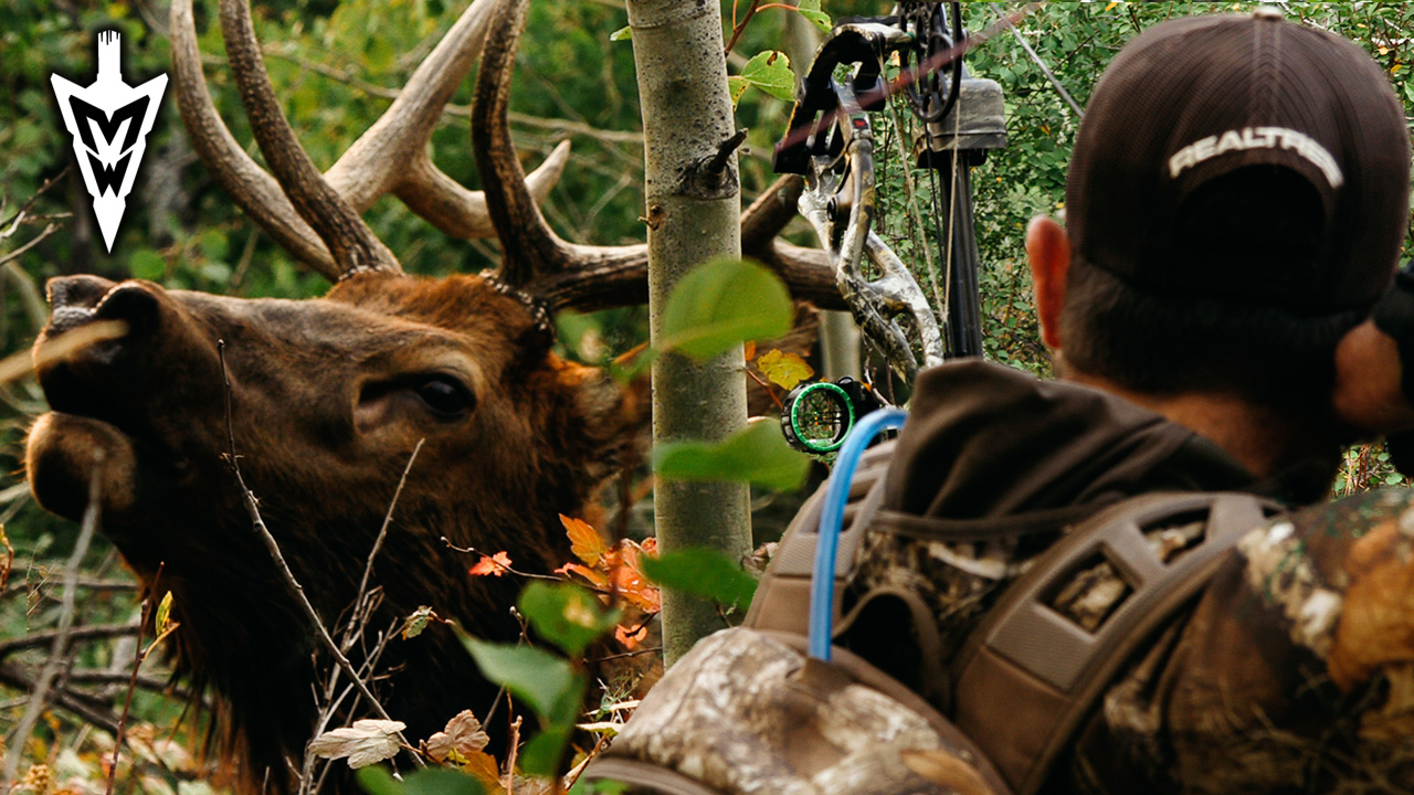 Jared Mill's First Bull Elk, Crazy-Close Encounters | Part 2 | Midwest Whitetail