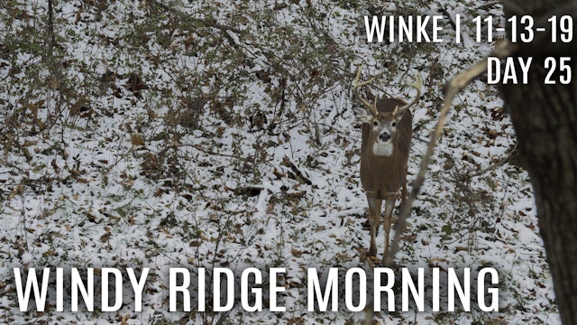 Winke Day 25: Windy Ridge Morning, Finding The Right Doe