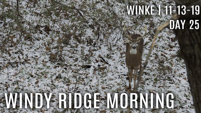 Winke Day 25: Windy Ridge Morning, Fi...
