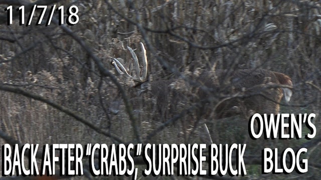 Owen's Blog: Close Call on Crabs, Surprise Buck