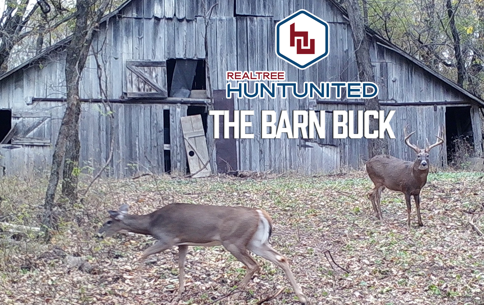 The Barn Buck | Lifelong Dream Come True | Hunt United
