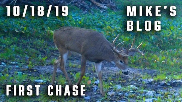 Mike's Blog: First Chase