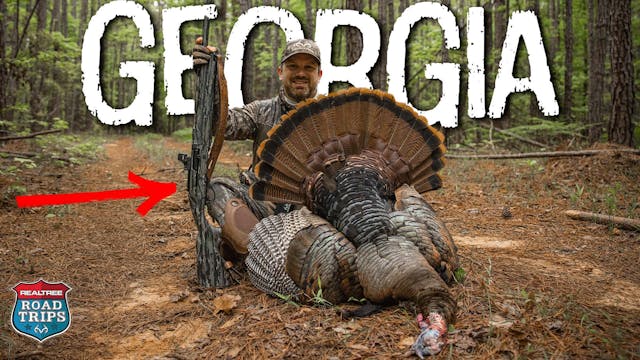 Georgia BIG Timber Gobbler | Eastern ...