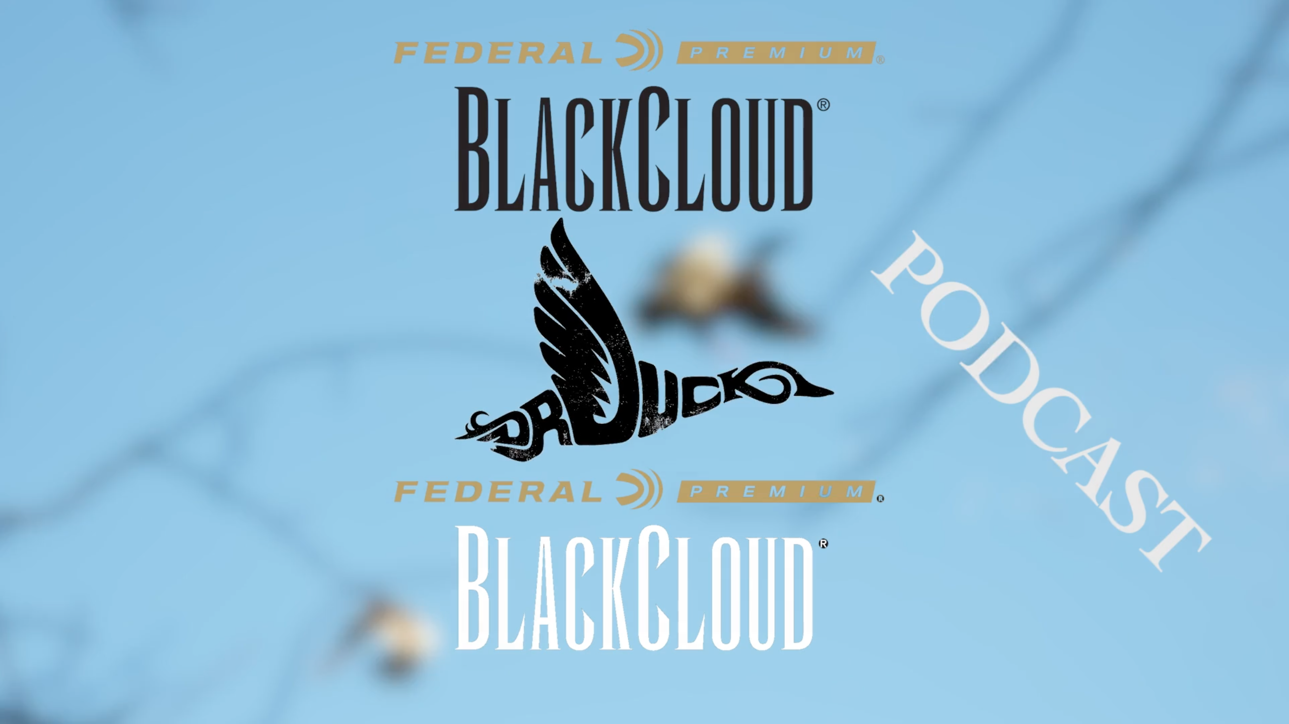 Dr. Duck Podcast | Defining a Successful Duck Season | Black Cloud