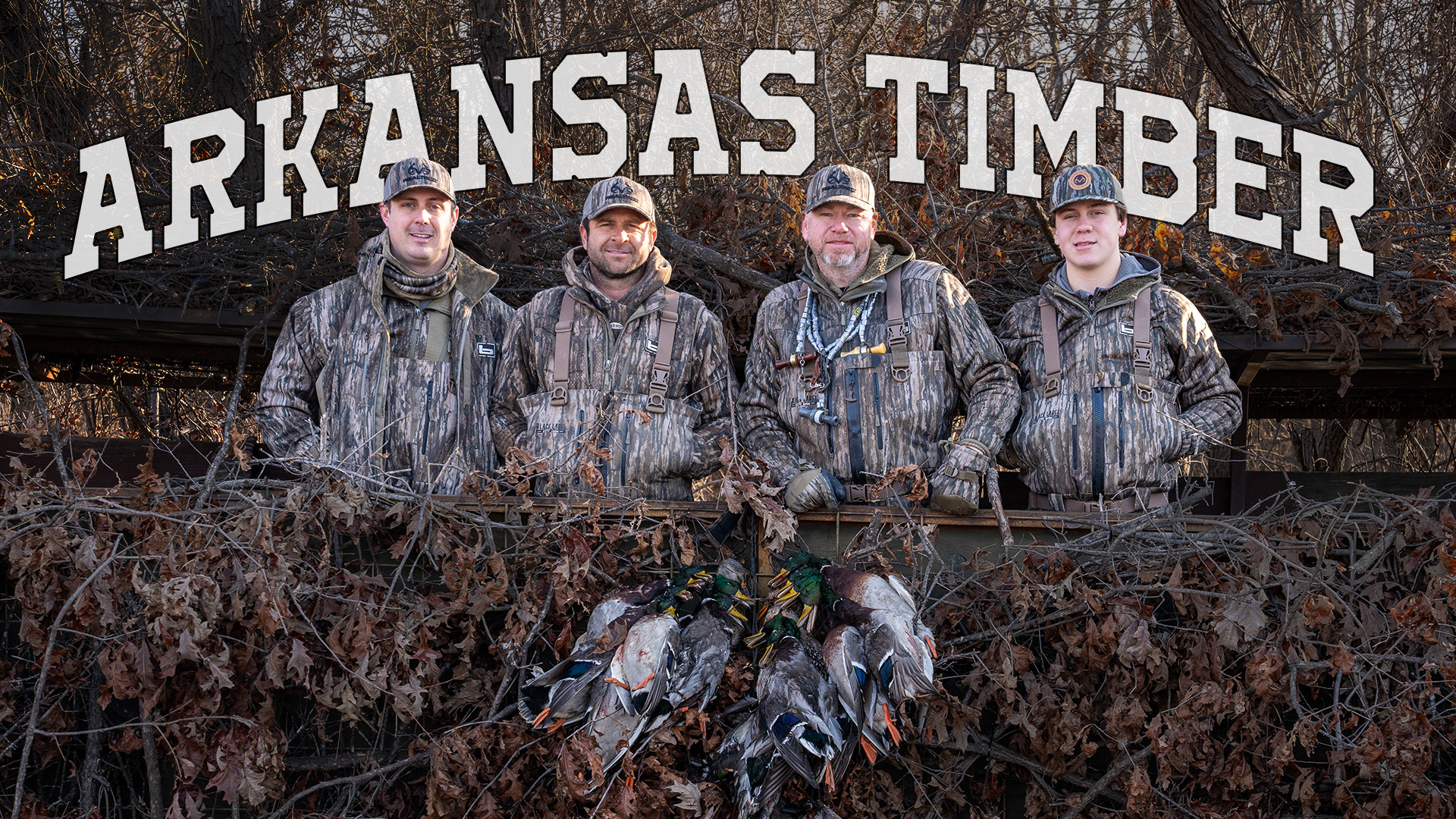 Duck Hunting Arkansas | Mallards in the Timber | Black Cloud
