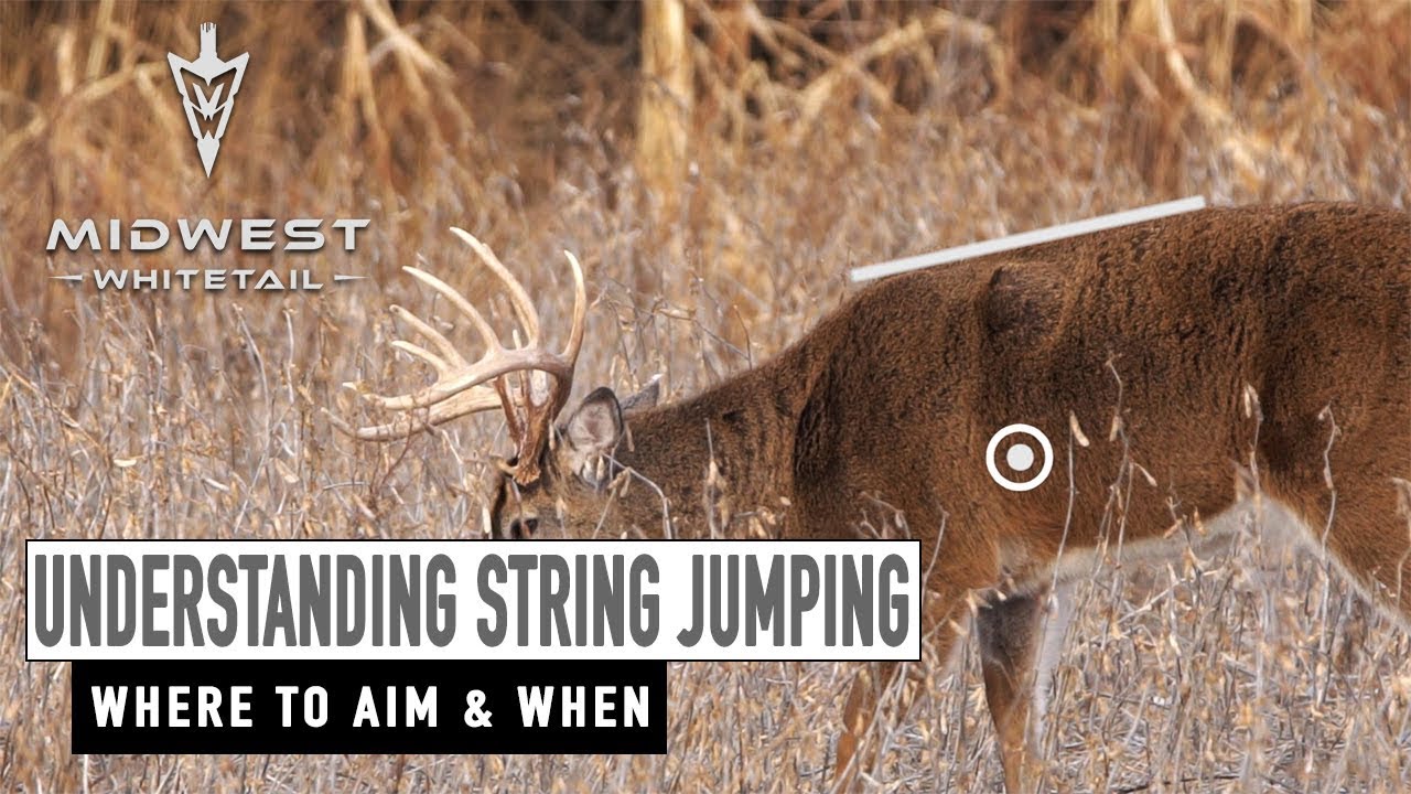 3-5-18: Finding Sheds, Understanding String Jumping | Midwest Whitetail