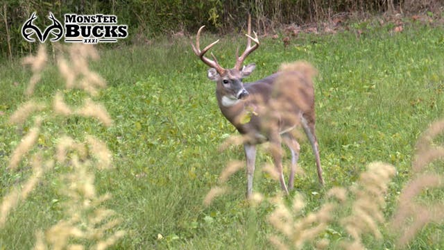 Nate Hosie's Missouri Monster | Monst...