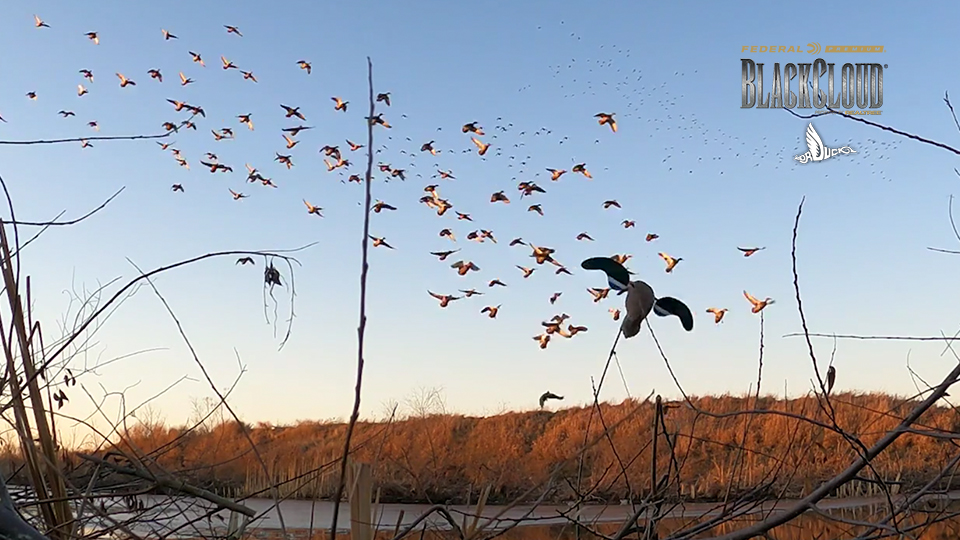 A Return to the Duck Cave | Fishing for Mallards | Black Cloud