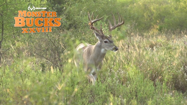 Mike McFerrin's Huge Texas Buck | Realtree's Monster Bucks