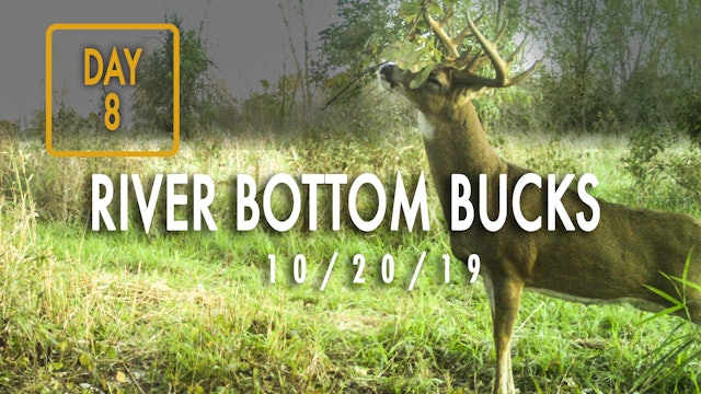Jared Day 8: Hunting River Bottom Bucks