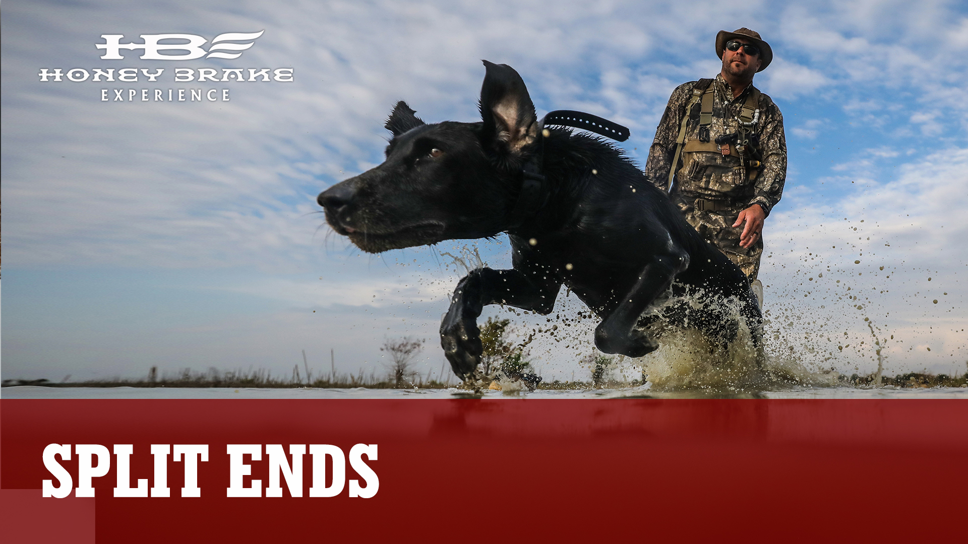 Louisiana Split: Bucks and Ducks 