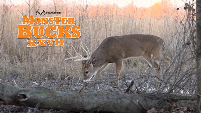 Matt Duff's Swampland Monster Buck