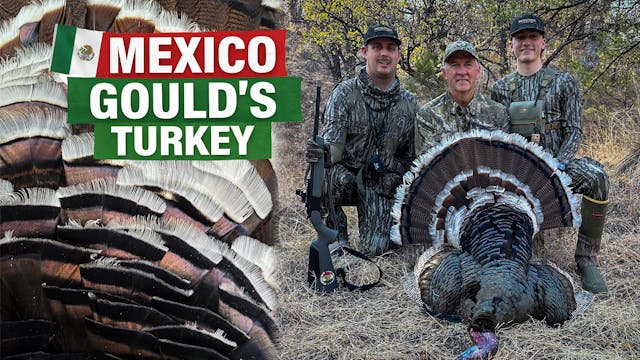 Gould’s Turkey Hunting in Mexico | Wo...