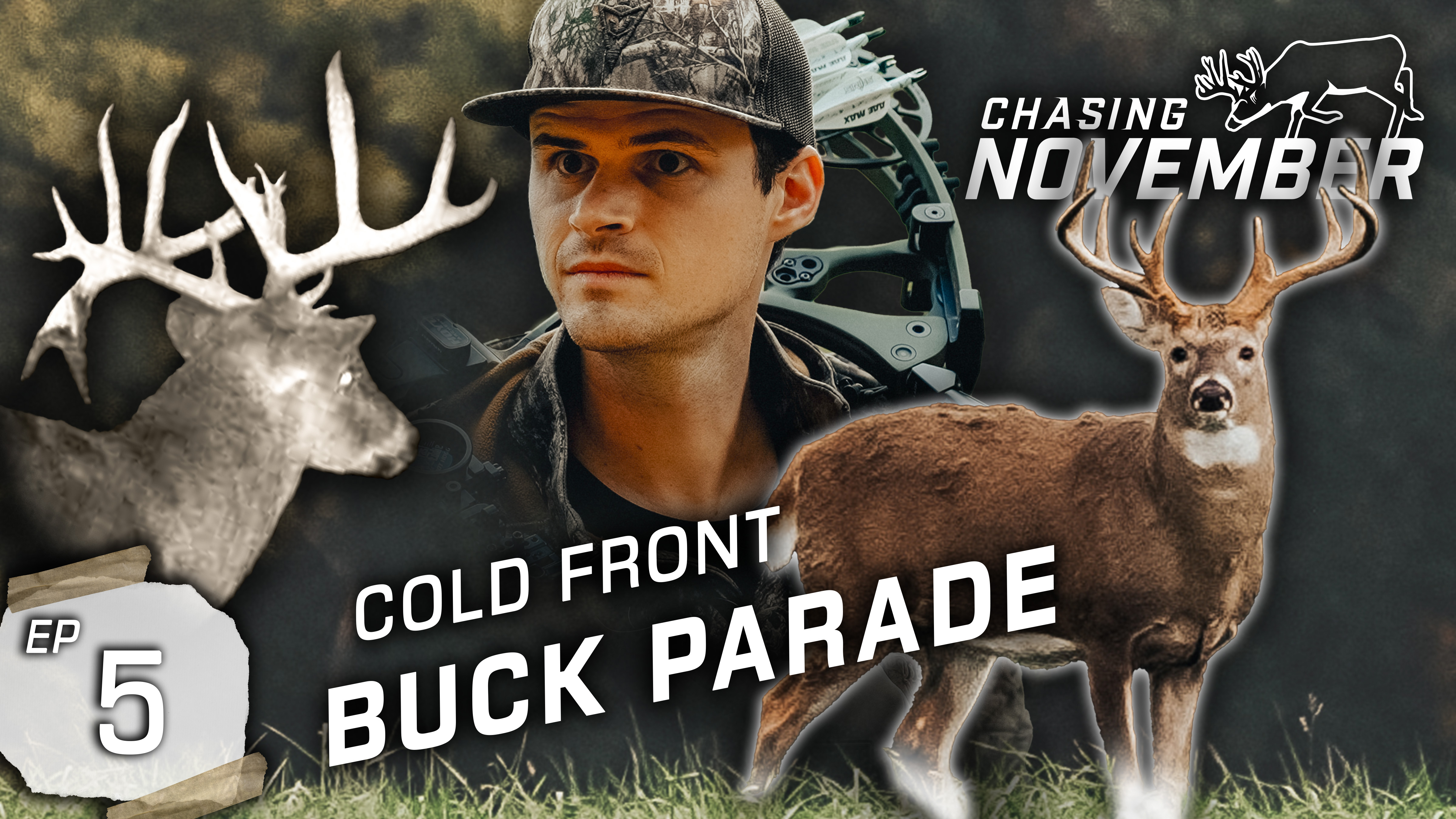 Public Land Stud At 20 Yards, The October Lull Is A Myth