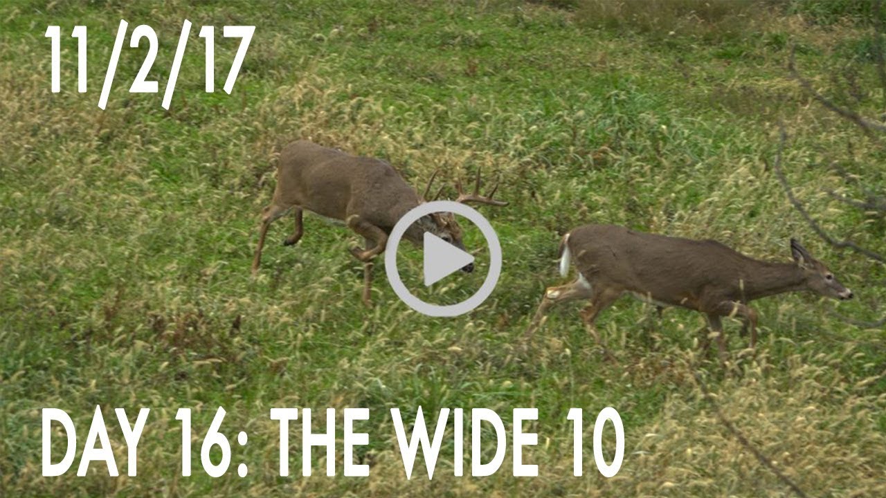 Winke Day 16: The Wide 10