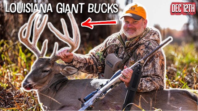 Giant Louisiana Bucks | Honey Brake D...