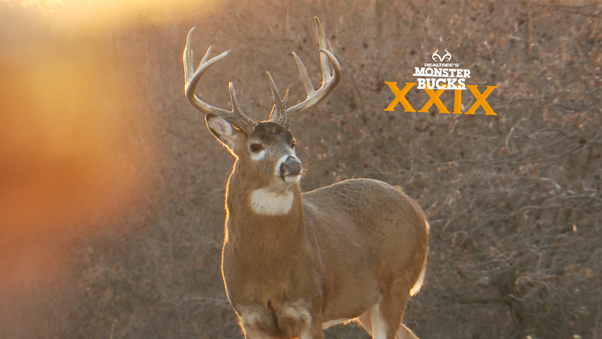 Kandi Kisky's Freak Iowa Buck | Monster Bucks 2021