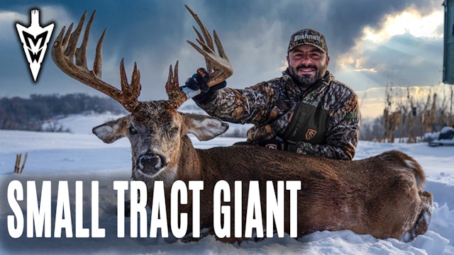 1-14-21: Mike's Monster | Intern Tags Big Public-Land Buck | Midwest Whitetail