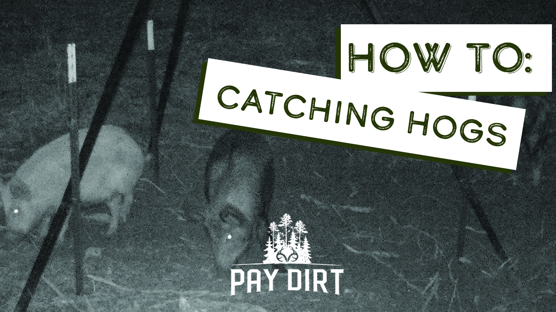 Trapping Hogs with Jager Pro | Realtree Farms Update | Pay Dirt