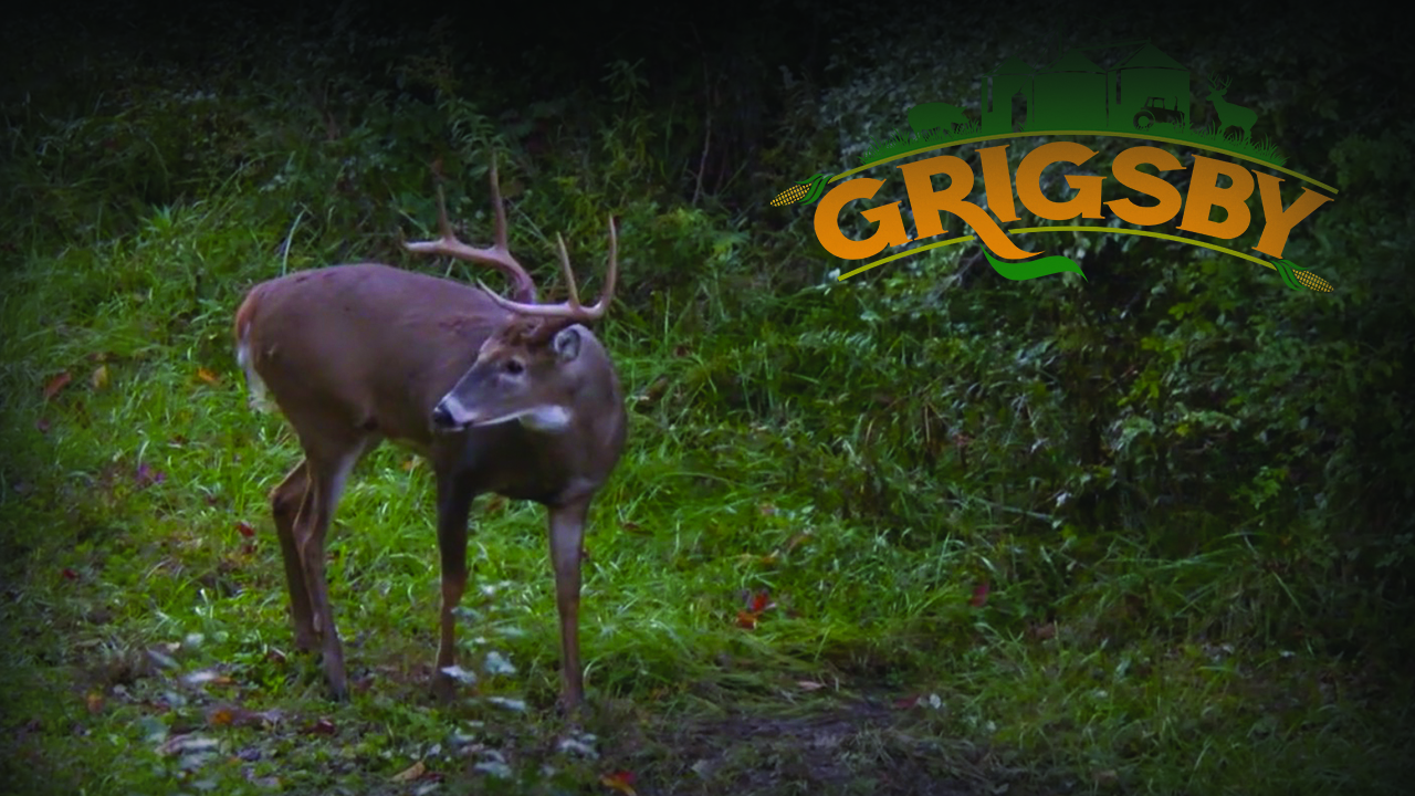 Stroff Strikes | Bow Season Is in Full Swing | Grigsby