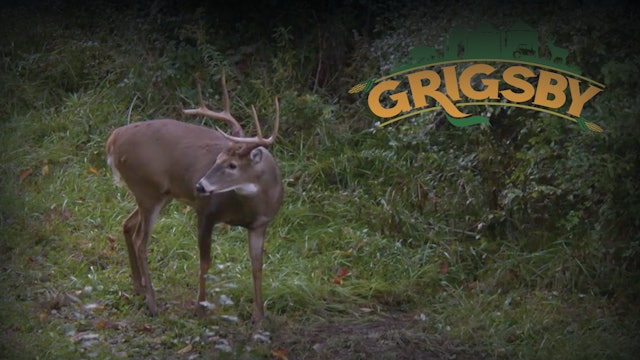 Stroff Strikes | Bow Season in Full Swing | The Grigsby