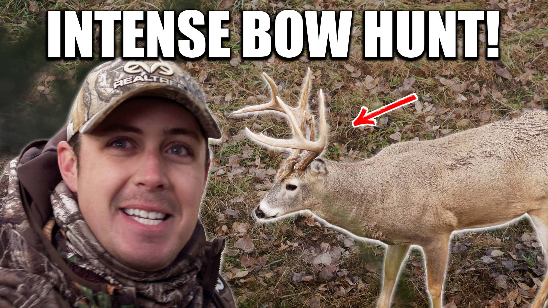 INTENSE Bow Hunt at CLOSE Range (Rattled Him in During The Rut)