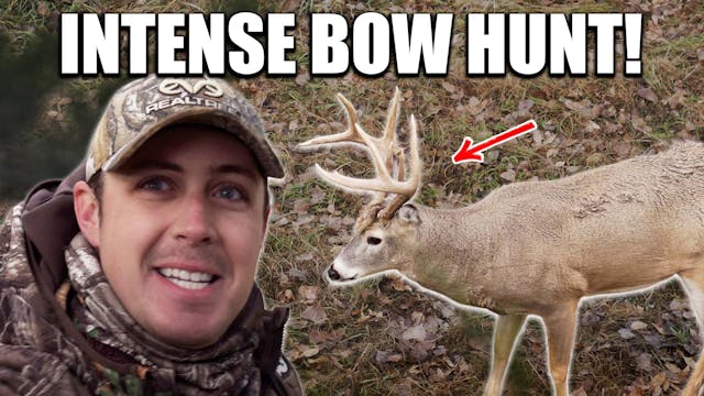 INTENSE Bow Hunt at CLOSE Range (Ratt...