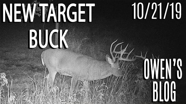  Owen's Blog: New Target Buck