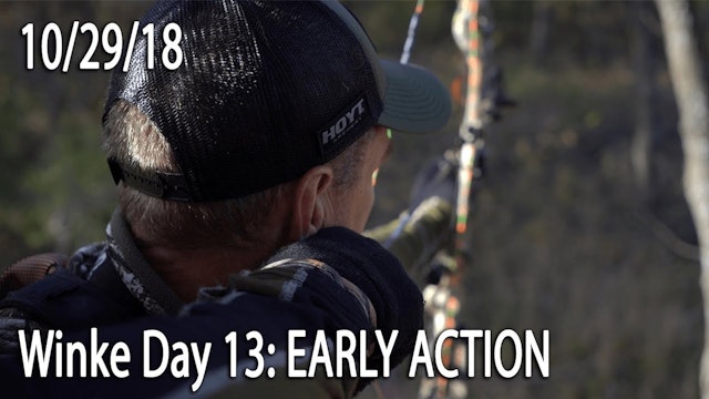 Winke Day 13: Early Action