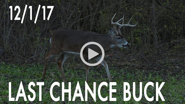 Winke Day 35: Last Chance Buck