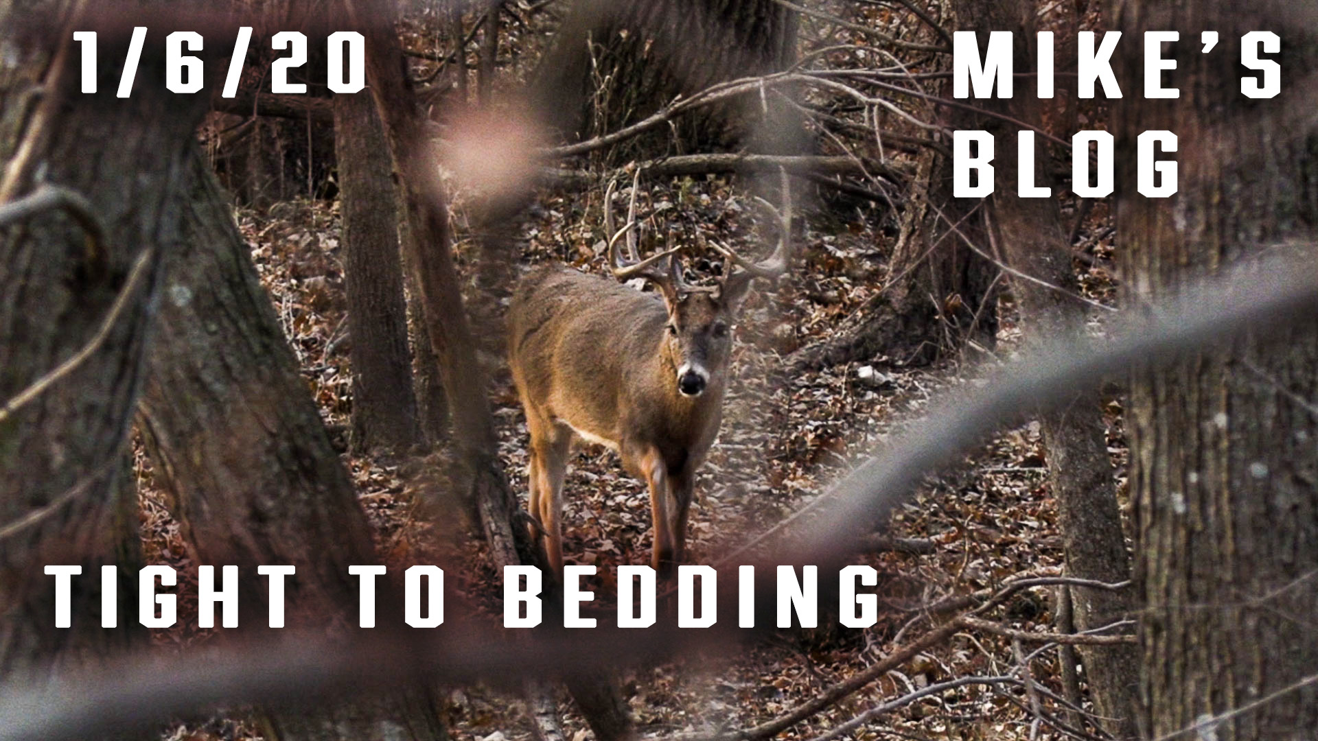 Mike's Blog: Moving In On The Bedding Area