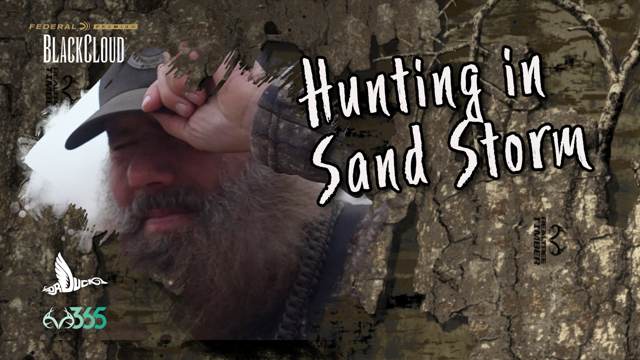 Mallards in a Sand Storm | Northwestern Duck Hunting | Black Cloud