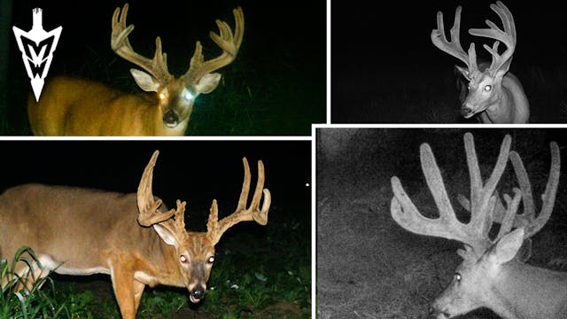 Best Bucks of the 2023 Hunting Season...