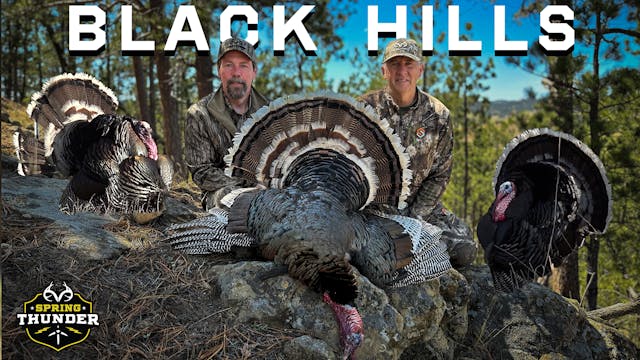 Merriam’s Turkey Madness in Wyoming &...