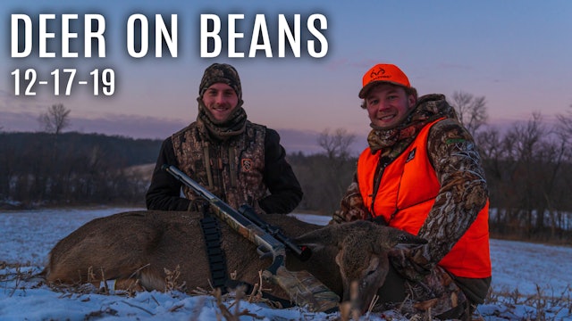 Gun Season Day 1: Deer in the Soybeans