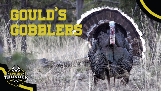 Hunting Gould's Gobblers in Mexico | Monster Gobblers | Spring Thunder