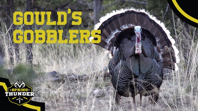 Hunting Gould's Gobblers in Mexico | ...
