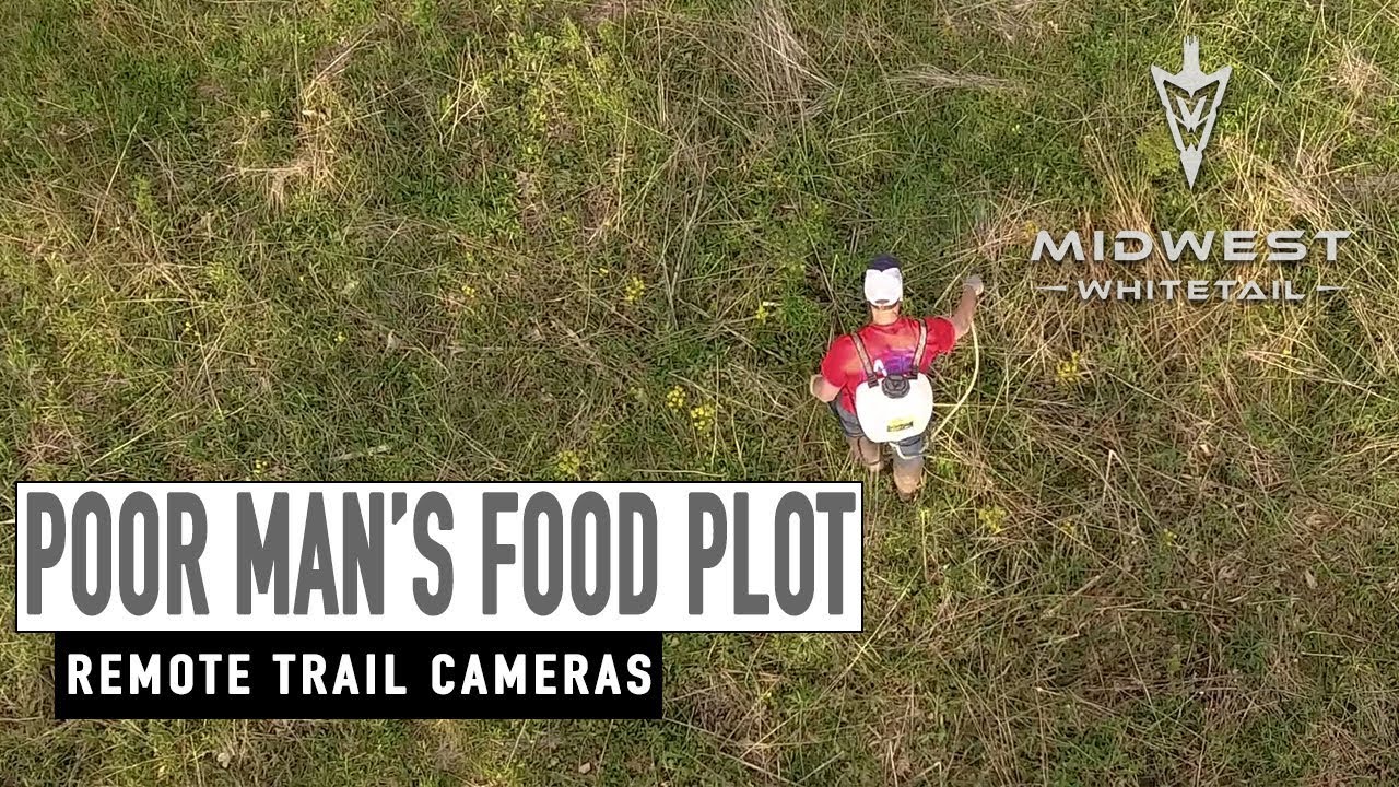 5-7-18: Poor Man’s Food Plot, Remote Cameras | Midwest Whitetail