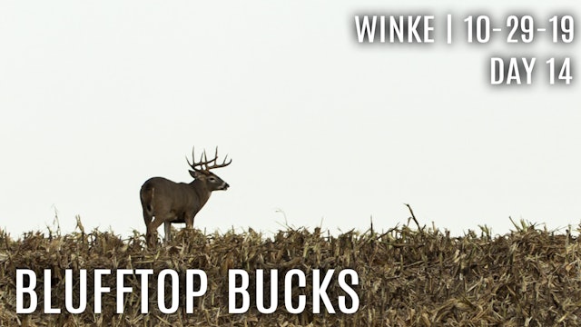 Winke Day 14: Blufftop Bucks