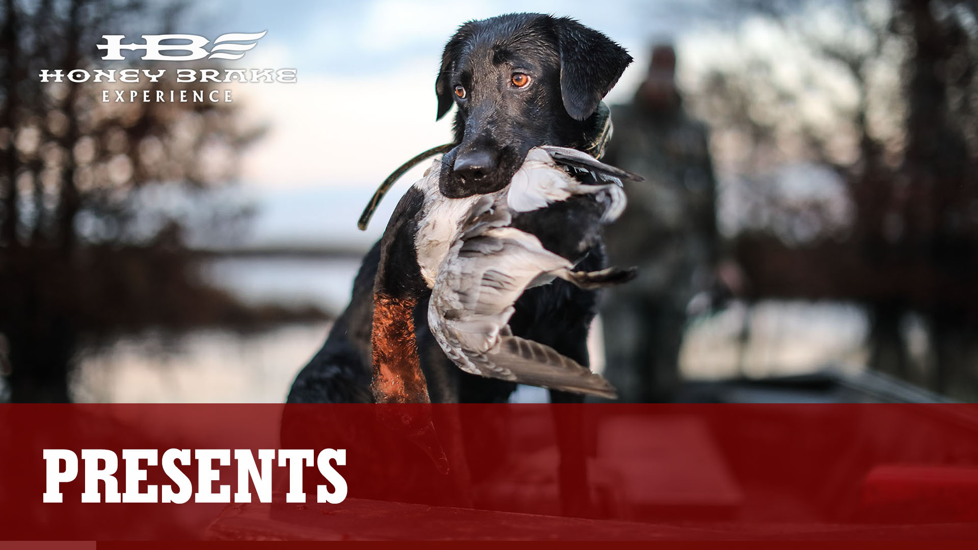 A Honey Brake Christmas