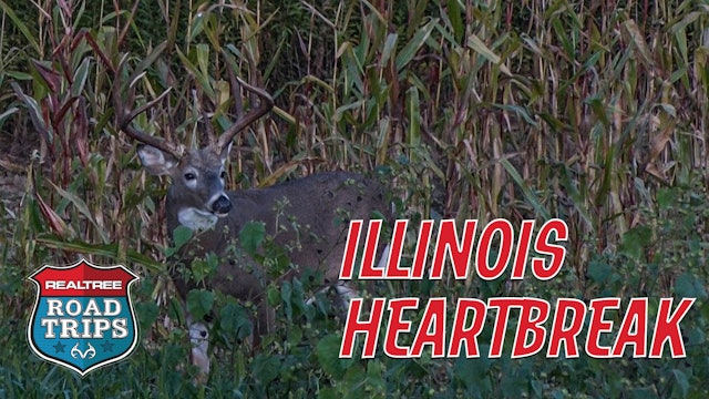 Big Racks and Big Heartbreaks | Bowhunting Illinois Deer | Realtree Road Trips