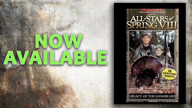 All-Stars of Spring VIII (2001 Release)