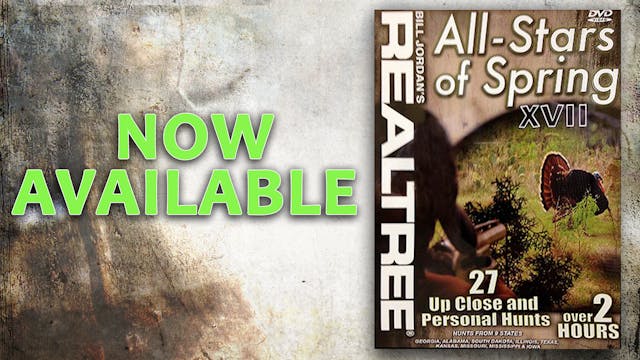 All-Stars of Spring XVII (2010 Release)