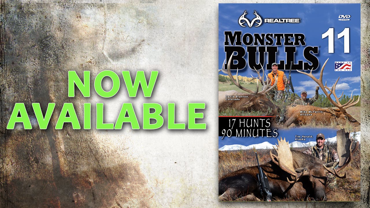 Monster Bulls 11 (2013 Release)