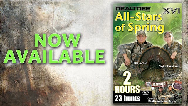 All-Stars of Spring XVI (2009 Release)