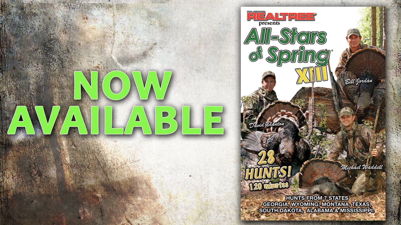 All-Stars of Spring XIII (2006 Release) 