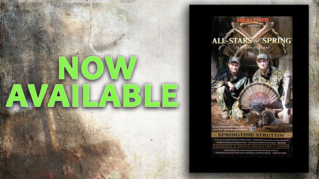 All-Stars of Spring X  (2003 Release)