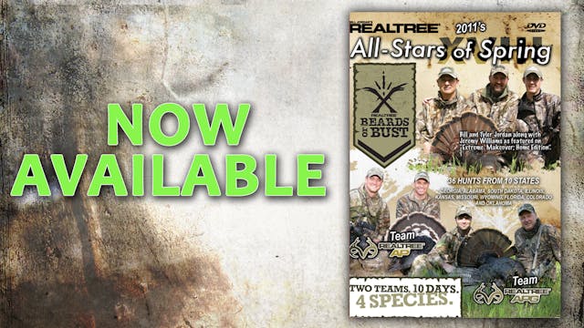 All-Stars of Spring XVIII (2011 Release)