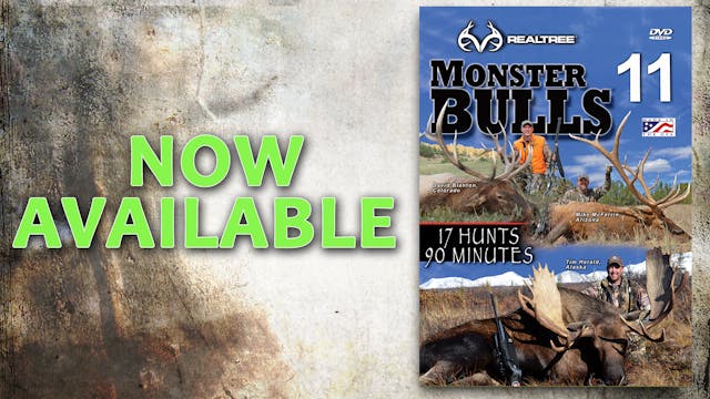 Monster Bulls 11 (2013 Release)