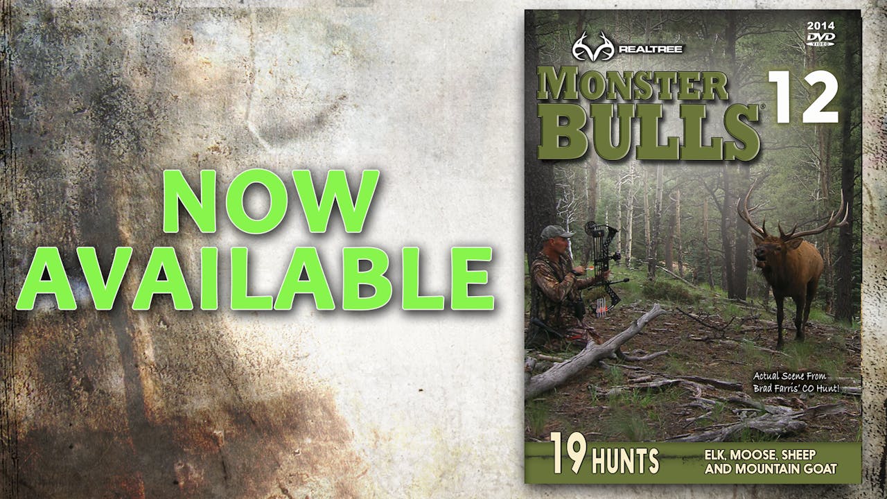 Monster Bulls 12 (2014 Release)